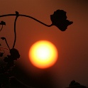 Coucher soleil balcon - 032